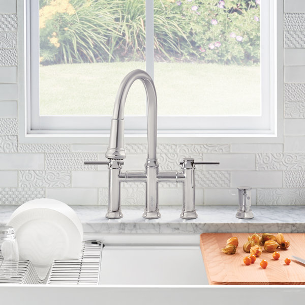 Blanco Empressa Pull Down Bridge Faucet & Reviews Wayfair